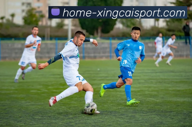 杏彩体育APP 封面图